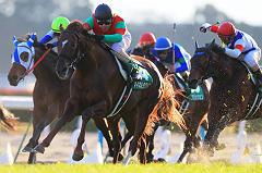 金杯 マイネルラクリマ