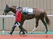 福島民報杯 マイネルラクリマ