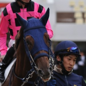 中山５００万下の昇級初戦　パドック