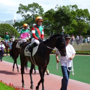 2010年8月7日 小倉1R 未勝利戦 パドック