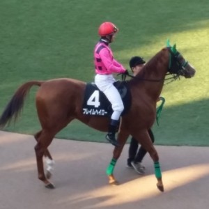 ラピスラズリ出走時パドック