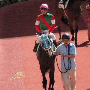 さあ頑張るぞ！