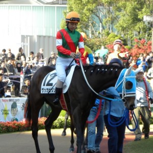 お気に入りの１枚