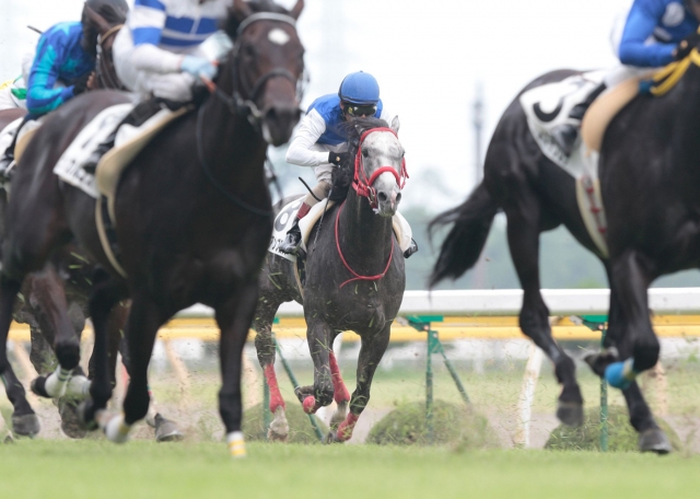 新馬戦 ブルーアンブロシア