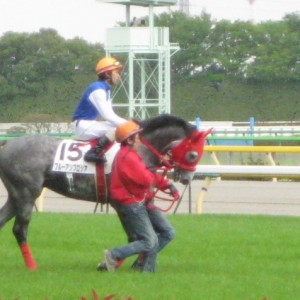 ５月１日　未勝利戦　