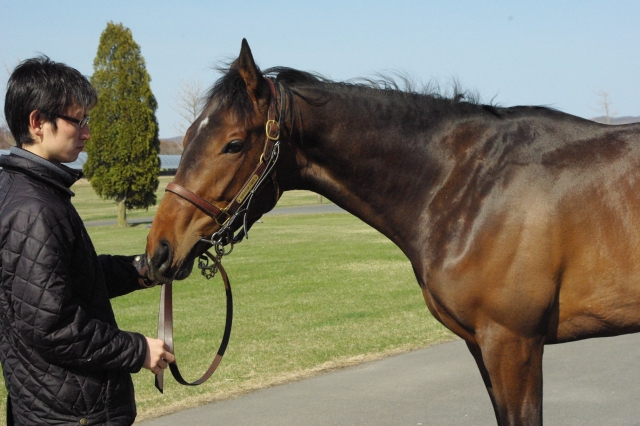 NF空港にて①(2010.4.27) ウインバリアシオン