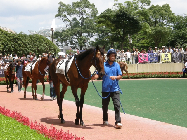 新馬戦パドック ウインバリアシオン