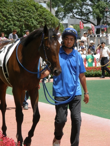新馬戦パドック ウインバリアシオン