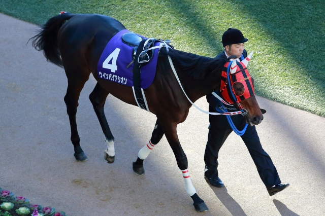 有馬記念 ウインバリアシオン