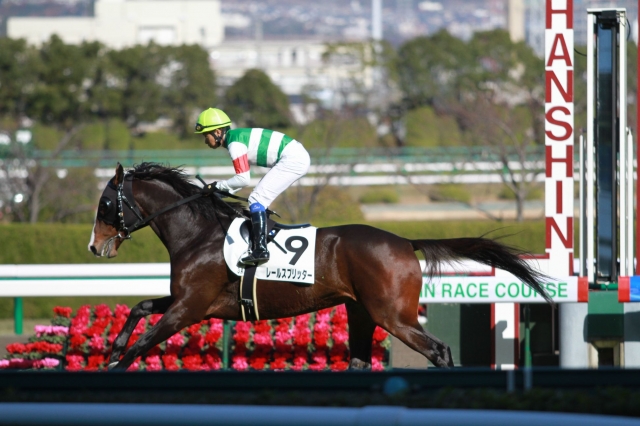 阪神3レース未勝利１８００（芝） レールスプリッター