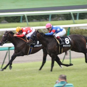 芙蓉ステークス・ゴール前