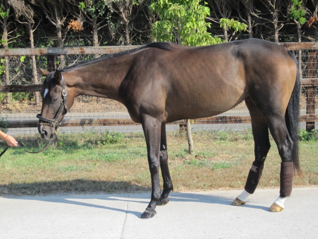 ミホ分場 2010.09.04 レッドエレンシア