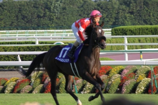 201110秋華賞返し馬 レッドエレンシア