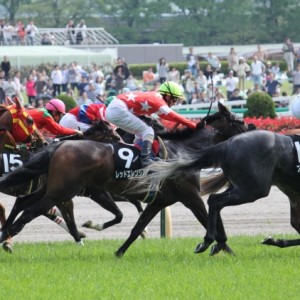 東京芝1400m準OP晩春Sレース