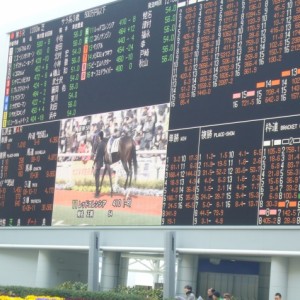 3.26パドック電光掲示板