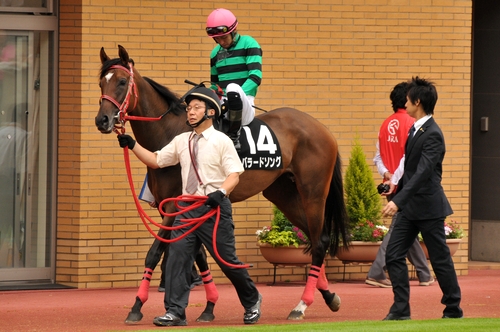 2011/06/12　新潟10R　カンゾウ賞　12着 バラードソング