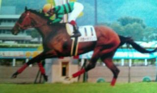 ５００万下優勝時。 バラードソング