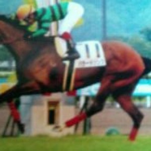 ５００万下優勝時。