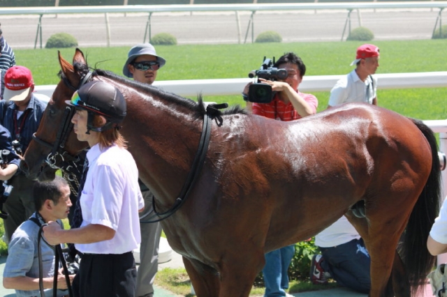20100718新潟６Ｒ２歳新馬戦口取り レッドセインツ