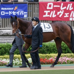 メイクデビュー東京パドック