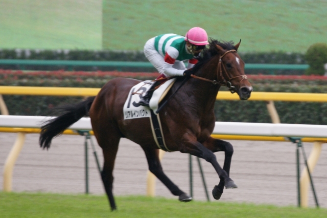 メイクデビュー東京　圧勝！ リアルインパクト