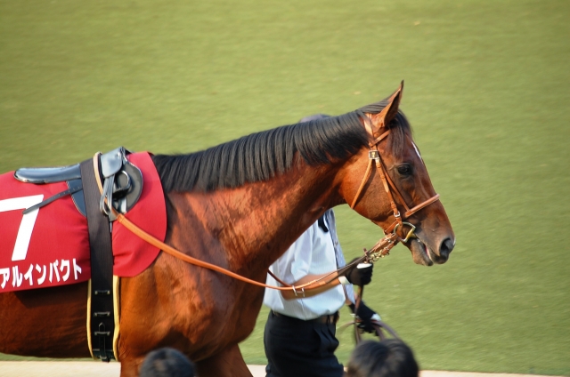 毎日王冠 リアルインパクト