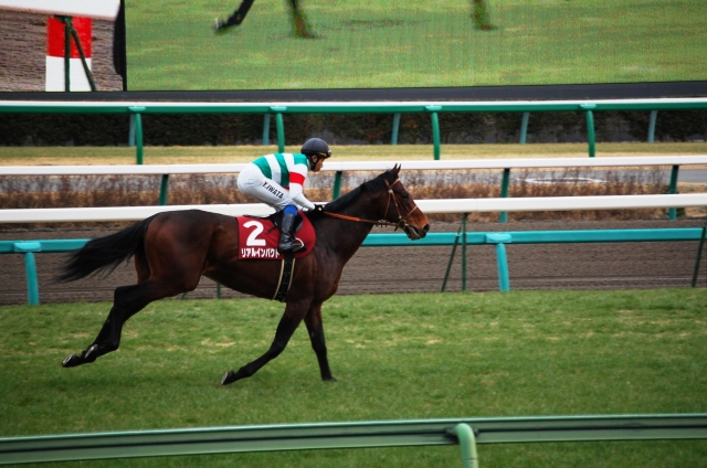 中山記念 リアルインパクト