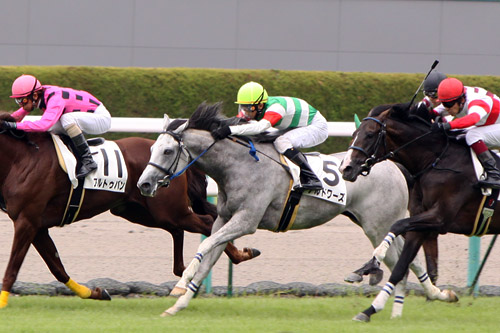 デビュー戦 アルドワーズ