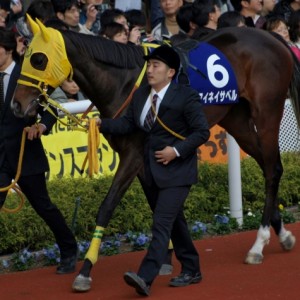 阪神ジュベナイルフィリーズ　パドック