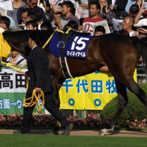 秋華賞　パドック