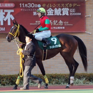愛知杯　パドック