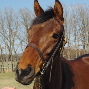 NF空港にて(2010.4.27)①