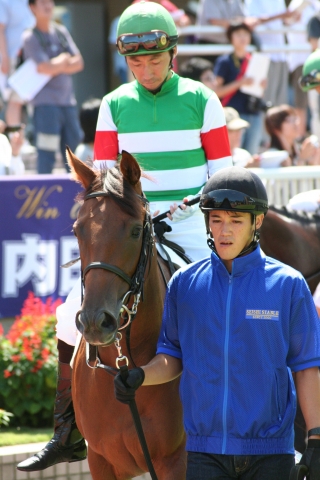 メイクデビュー新潟 マヒナ