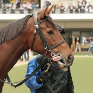 11/21 2R 未勝利戦（東京・芝1600m)