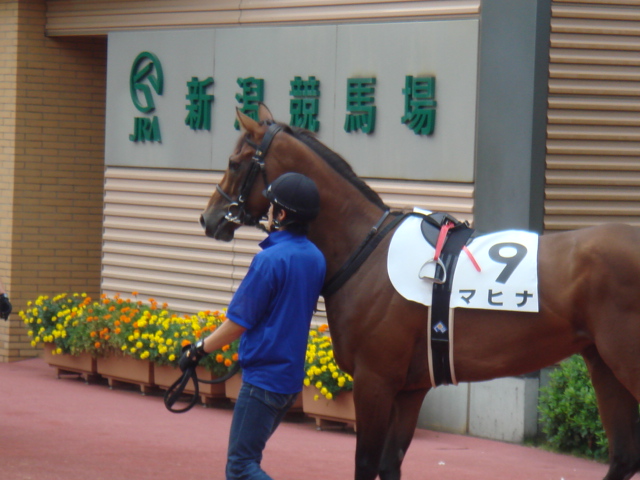 8/20　３歳上５００万下 マヒナ