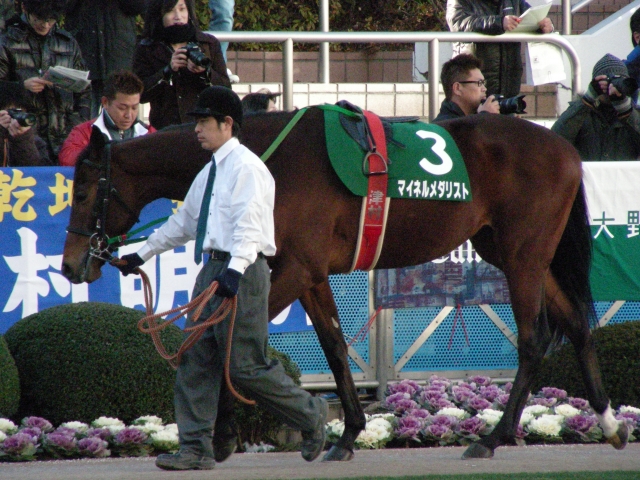 京成杯その１ マイネルメダリスト