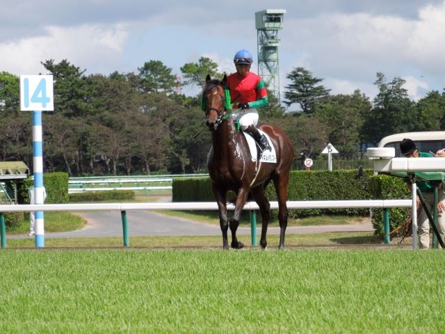 500万下（9/16）その２ マイネルメダリスト
