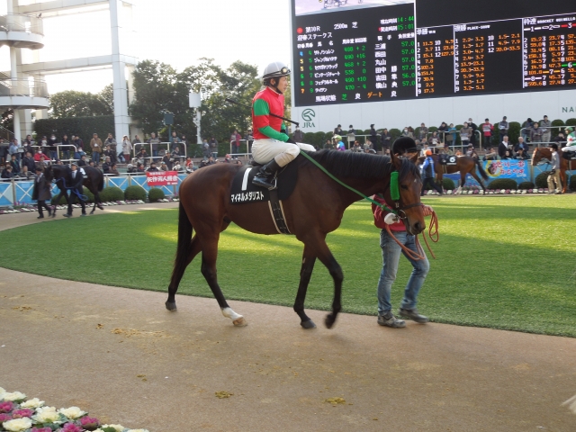 迎春Ｓその２ マイネルメダリスト