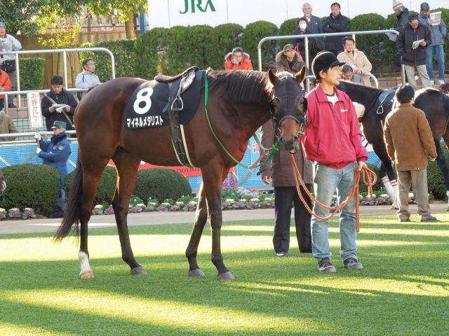 迎春Ｓその２ マイネルメダリスト