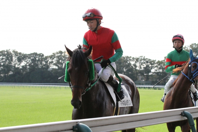 3歳500万下　返し馬 マイネルメダリスト