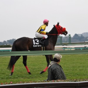 初富士ステークス