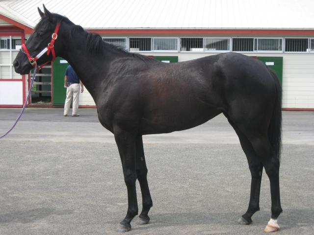 2010ＢＲＦツアー① マイネローレライ