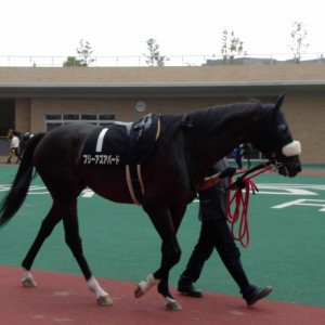 平成24年6月30日中京・清洲特別１
