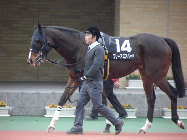平成26年1月25日中京11R中京スポニチ賞1 フリーアズアバード