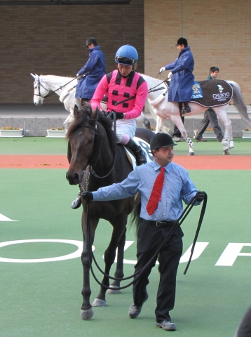 パドック ゲットハッピー