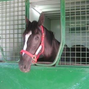 2010ＢＲＦツアー