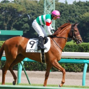 10月 ２日新馬戦