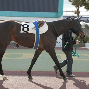 園田の初勝利