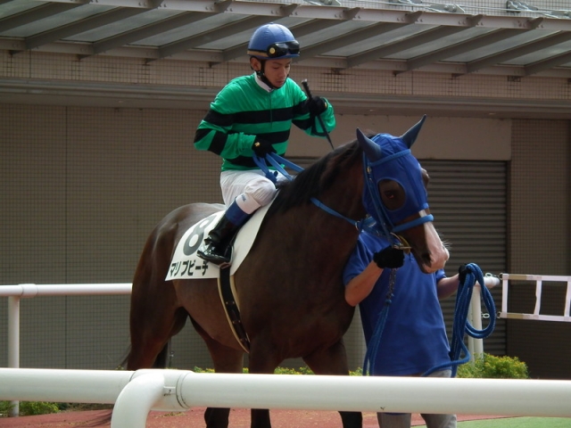 スーパー未勝利パドック３ マリブビーチ