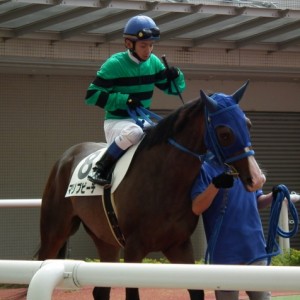 スーパー未勝利パドック３